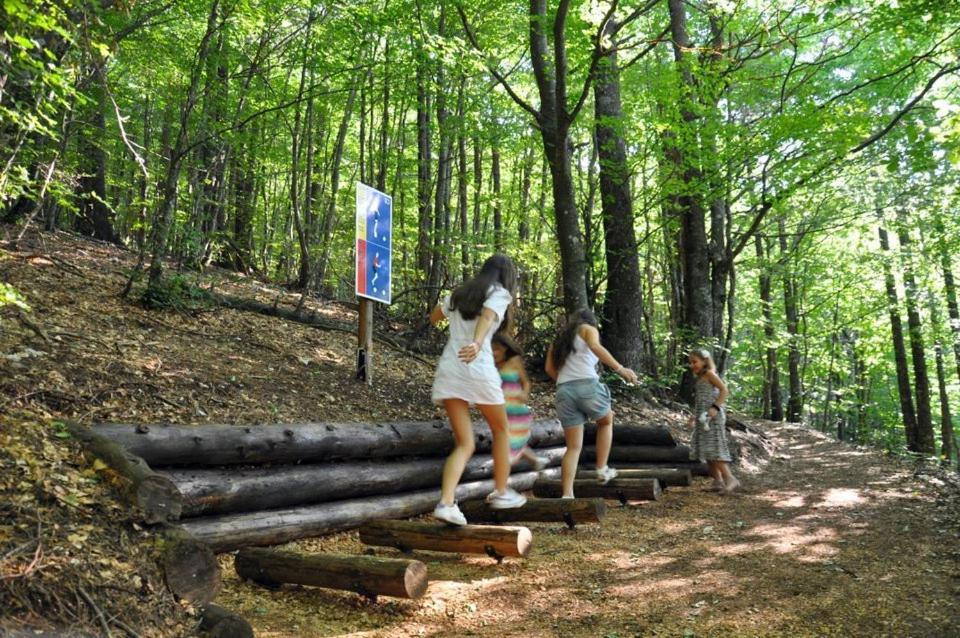 Hotel Snjezna Kuca - Nature Park Of Bosnia Herzegovina Padezina Dış mekan fotoğraf