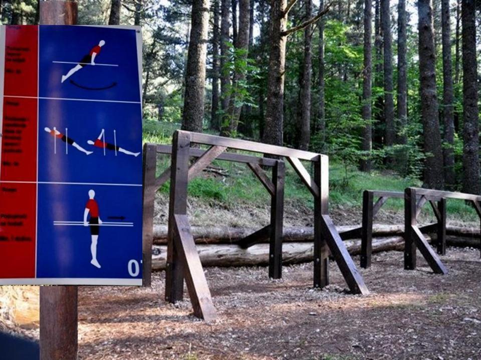 Hotel Snjezna Kuca - Nature Park Of Bosnia Herzegovina Padezina Dış mekan fotoğraf