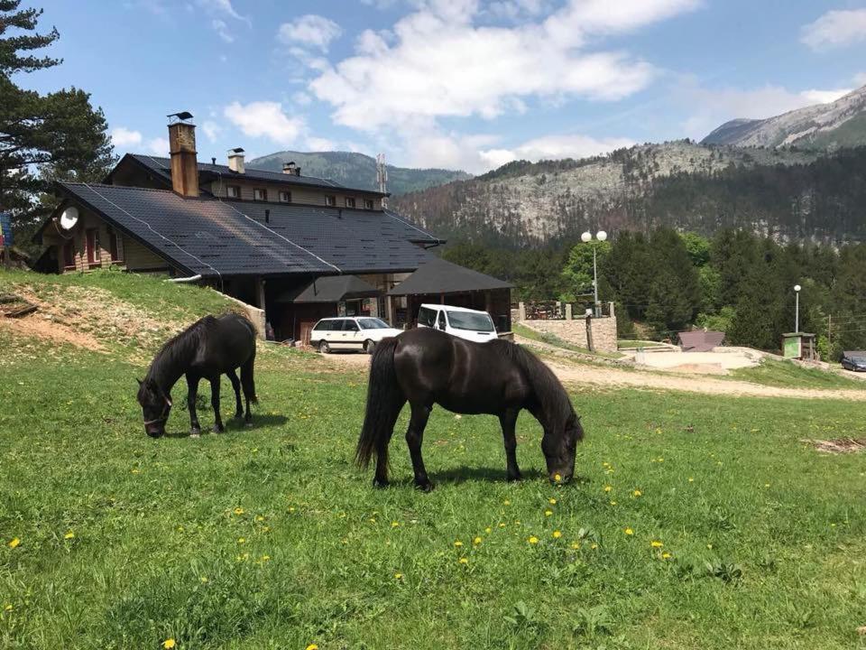 Hotel Snjezna Kuca - Nature Park Of Bosnia Herzegovina Padezina Dış mekan fotoğraf