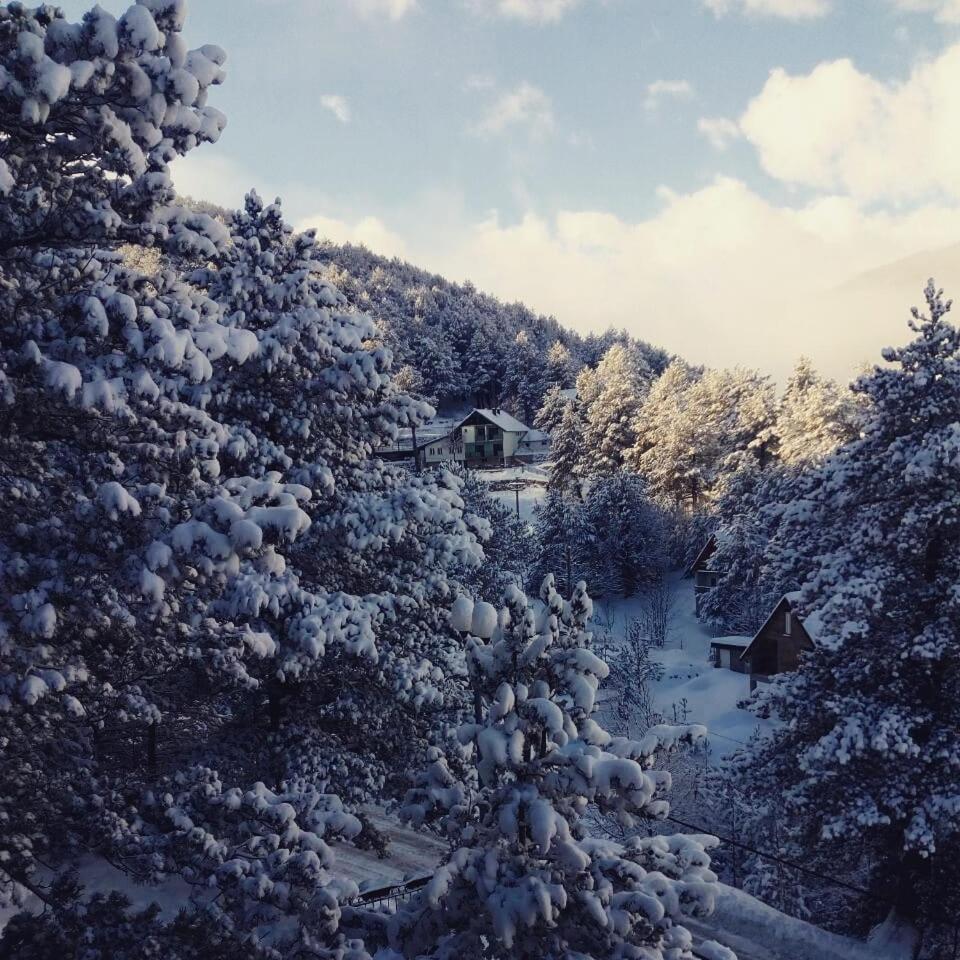Hotel Snjezna Kuca - Nature Park Of Bosnia Herzegovina Padezina Dış mekan fotoğraf