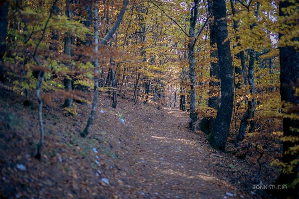 Hotel Snjezna Kuca - Nature Park Of Bosnia Herzegovina Padezina Dış mekan fotoğraf